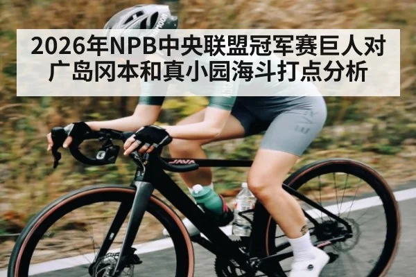 2026年NPB中央联盟冠军赛巨人对广岛冈本和真小园海斗打点分析